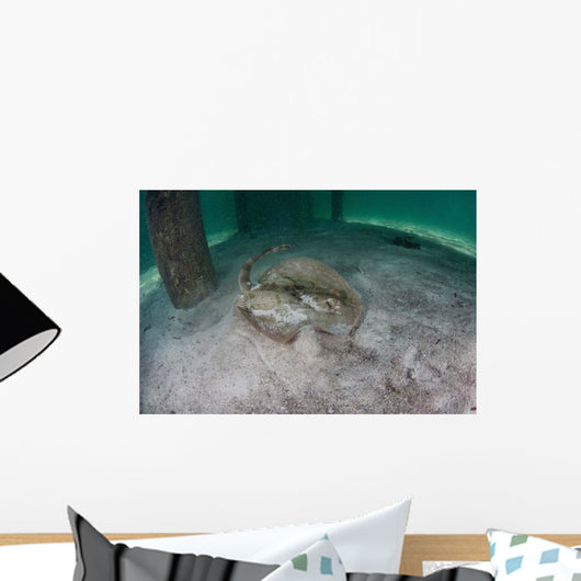 Yellow Stingray Swims beneath Wall Decal Design 3