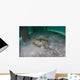 Yellow Stingray Swims beneath Wall Decal Design 3