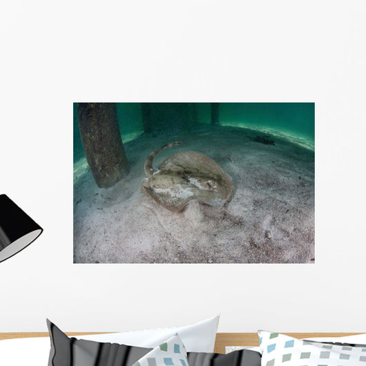 Yellow Stingray Swims beneath Wall Decal Design 3