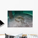 Yellow Stingray Swims beneath Wall Decal Design 3