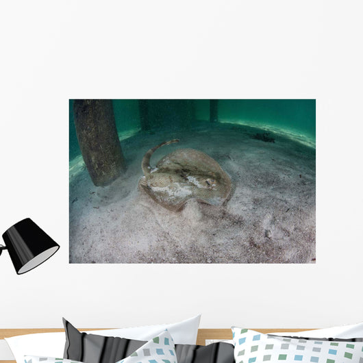 Yellow Stingray Swims beneath Wall Decal Design 3
