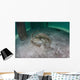 Yellow Stingray Swims beneath Wall Decal Design 3