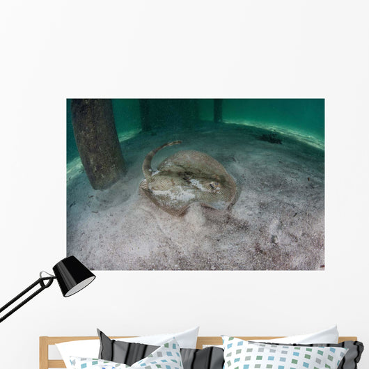 Yellow Stingray Swims beneath Wall Decal Design 3