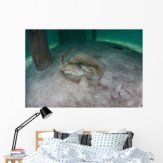Yellow Stingray Swims beneath Wall Decal Design 3
