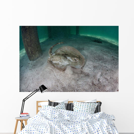 Yellow Stingray Swims beneath Wall Decal Design 3