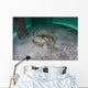 Yellow Stingray Swims beneath Wall Decal Design 3