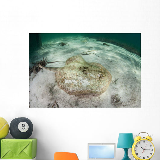 Yellow Stingray Swims beneath Wall Decal Design 2
