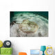 Yellow Stingray Swims beneath Wall Decal Design 2