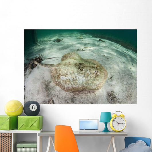 Yellow Stingray Swims beneath Wall Decal Design 2