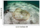 Yellow Stingray Swims beneath Wall Decal Design 2
