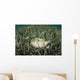 Yellow Stingray Swims beneath Wall Decal Design 1