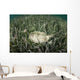 Yellow Stingray Swims beneath Wall Decal Design 1