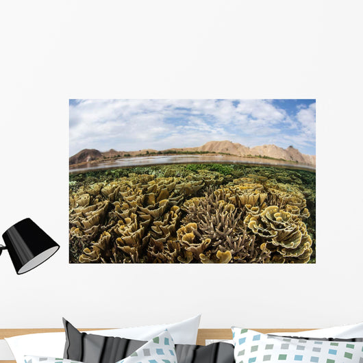 Fragile Corals Grow Shallow Wall Decal Design 11