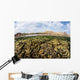 Fragile Corals Grow Shallow Wall Decal Design 11