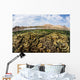 Fragile Corals Grow Shallow Wall Decal Design 11