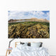 Fragile Corals Grow Shallow Wall Decal Design 11