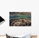 Fragile Corals Grow Shallow Wall Decal Design 10