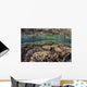 Fragile Corals Grow Shallow Wall Decal Design 10