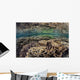 Fragile Corals Grow Shallow Wall Decal Design 10
