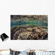 Fragile Corals Grow Shallow Wall Decal Design 10