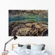 Fragile Corals Grow Shallow Wall Decal Design 10