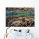 Fragile Corals Grow Shallow Wall Decal Design 10