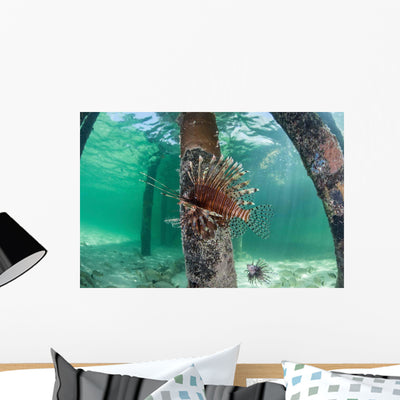 Lionfish Swims beneath Pier Wall Decal shown on a wall
