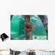 Lionfish Swims beneath Pier Wall Decal