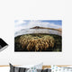 Fire Coral Colony Grows Wall Decal