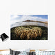 Fire Coral Colony Grows Wall Decal