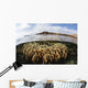 Fire Coral Colony Grows Wall Decal