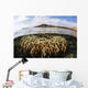 Fire Coral Colony Grows Wall Decal
