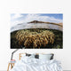 Fire Coral Colony Grows Wall Decal