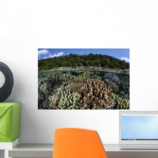 Diverse Array Reef-building Corals Wall Decal Design 7