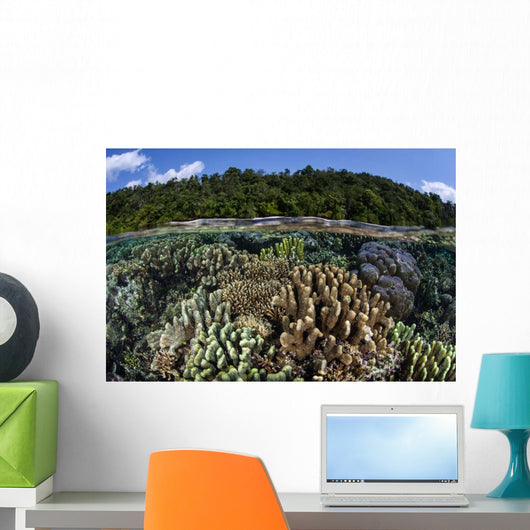 Diverse Array Reef-building Corals Wall Decal Design 7