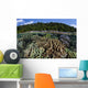 Diverse Array Reef-building Corals Wall Decal Design 7