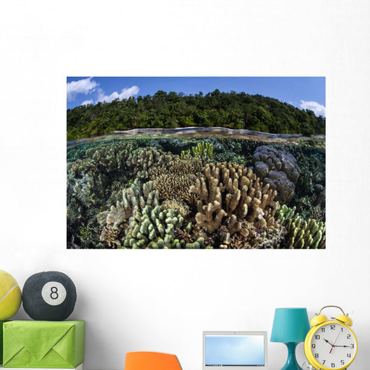 Diverse Array Reef-building Corals Wall Decal Design 7