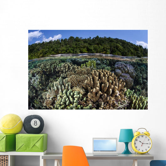 Diverse Array Reef-building Corals Wall Decal Design 7