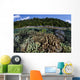 Diverse Array Reef-building Corals Wall Decal Design 7