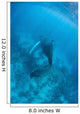 Humpback Whale Caribbean Sea Wall Decal Design 2