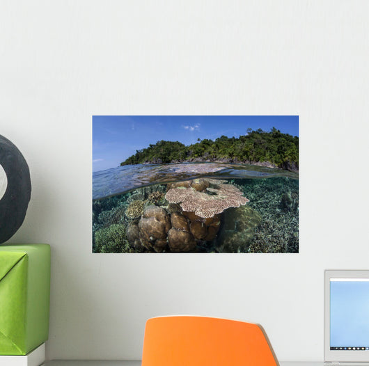 Diverse Array Reef-building Corals Wall Decal Design 6