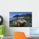 Diverse Array Reef-building Corals Wall Decal Design 6