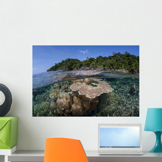 Diverse Array Reef-building Corals Wall Decal Design 6