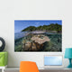 Diverse Array Reef-building Corals Wall Decal Design 6