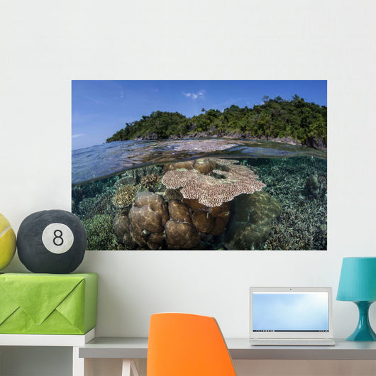 Diverse Array Reef-building Corals Wall Decal Design 6