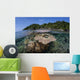 Diverse Array Reef-building Corals Wall Decal Design 6