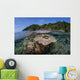Diverse Array Reef-building Corals Wall Decal Design 6