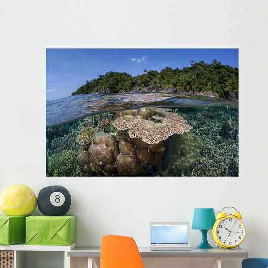 Diverse Array Reef-building Corals Wall Decal Design 6