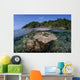 Diverse Array Reef-building Corals Wall Decal Design 6