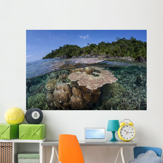 Diverse Array Reef-building Corals Wall Decal Design 6